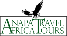 Leroi Lion Safaris